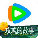 什么叫不惑